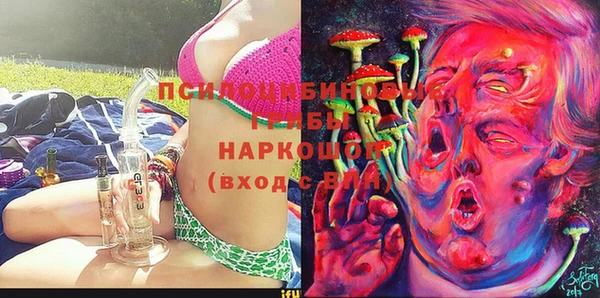 мет Осинники